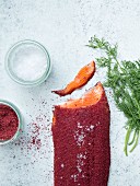 Gravlax with lingonberry powder, salt and dill