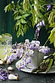Wisteria in a pot with green asparagus and mushrooms