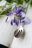 Wisteria panicles and cutlery on an Old English notebook