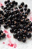 Schwarze Johannisbeeren