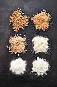 Cereal grains in different degrees of grinding: bran, coarsely ground meal, grit, coarse-grained flour and flour