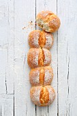 A row of Swiss crusty bread rolls