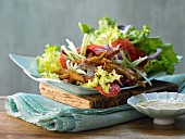 Turkey strips on a colourful salad with pine nuts and grapefruit sauce