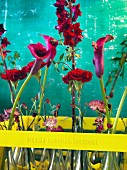 Red flowers in yellow-painted bottle crate against turquoise background
