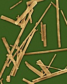 Asbestos fibres, SEM