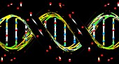 DNA molecule, illustration