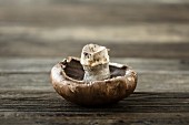 Portobello mushroom on a wooden surface