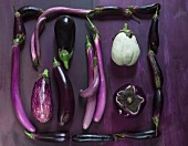 An artistic eggplant picture frame