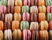 A selection of macaroons