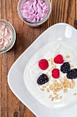 Yoghurt with oatmeal and fresh berries