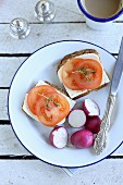 Simple breakfast-sandwich with cheese, tomato and radish