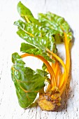 Organic yellow chard