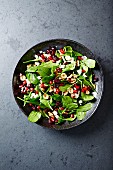 Spinach salad with dried cranberries, pomegranate seeds and toasted nuts