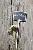 Garlic flowers and plant label on weathered wood