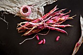 Scarlet runner bean pods (Latin name: Phaseolus Coccineus) tied together with a piece of kitchen string