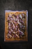 A duck and onion pizza