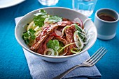 Beef salad with chilli, onion and coriander
