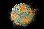 Destruction of hepatitis B virus, illustration