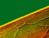 Edge of a razor blade, SEM