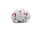 Human brain with question marks