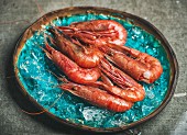 Raw uncooked red shrimps on chipped ice in turquoise blue ceramic tray