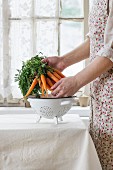 Bundle of fresh young carrots with green haulm under colander in female hands