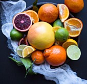 Grapefruit, Lemon, Lime, Blood Oranges and Tangeries