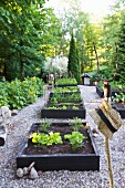 Gemüsegarten mit Beeteinfassungen und Kieswegen