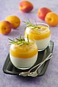 Panna cotta with apricot purée and rosemary
