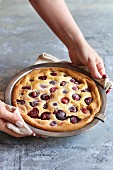 Hands holding a pan with a freshly baked cherry clafoutis