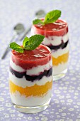 Panna Cotta Arlequin (Panna cotta with different layers of fruit)