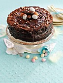 Chocolate cake with sugar beads and chocolate eggs (Easter)