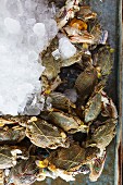 Crabs with ice at a market in Thailand