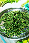 Fresh green peppercorns