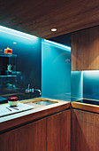 Kitchen made from exotic wood with illuminated back wall