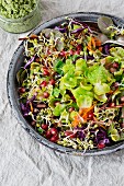 Brussels sprout salad with pomegranate seeds, lentil sprouts, carrot strips and red cabbage strips