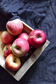 Pink apples in a wooden box on a dark grey fabric