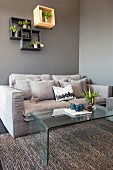 Cushions on pale grey couch, glass coffee table and houseplants on wall-mounted shelves
