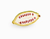 Half of a cocoa fruit in front of a white background