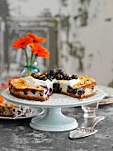 Blaubeer-Käsekuchen mit Orange, angeschnitten auf Kuchenständer (USA)