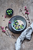 Amaranth porridge with almond milk, quinoa pops, fruit, quince twigs and catkin
