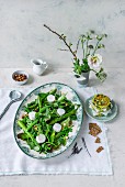 Frühlingssalat mit grünem Spargel, Ziegenkäse, Erbsen, Rucola, Blattsalaten, Haselnüssen und Zucchinipuffern