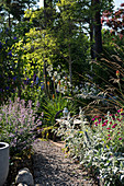 Narrow path lines by densely planted borders in garden