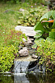 Teich mit kleinem Wasserfall im Garten