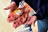 Fisch-Onlinehandel: Zwei verpackte Meerbarben