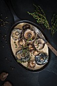 Pilze in cremiger Knoblauchsauce mit Kräutern und Pfeffer