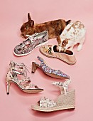 Various summer shoes with floral print and two bunnies next to them
