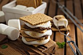 Picnic dessert smores with marshmallows, graham crackers and chocolate