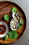 Fresh oysters with sesame dressing and nasturtium leaves