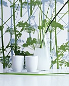 Carafe and white ceramic beakers in front of herb-patterned wallpaper